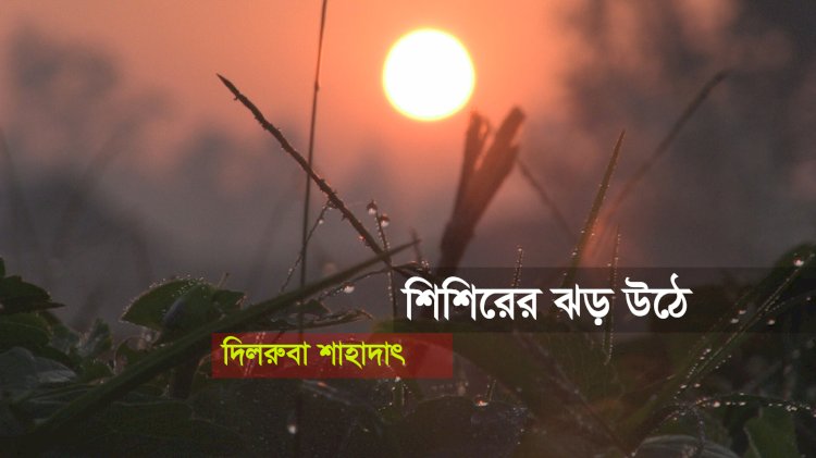 শিশিরের ঝড় উঠে | দিলরুবা শাহাদাৎ