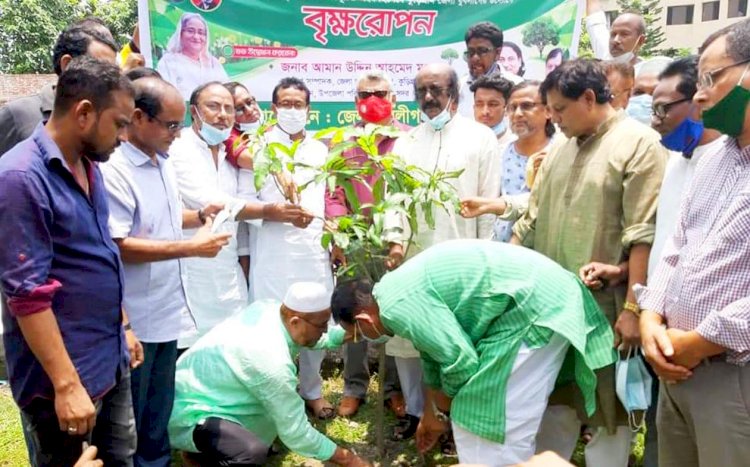 কুড়িগ্রাম জেলা যুবলীগের গাছের চারা রোপন