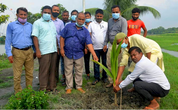 চিকলী পার্কে রসিক মেয়রের বৃক্ষরোপণ