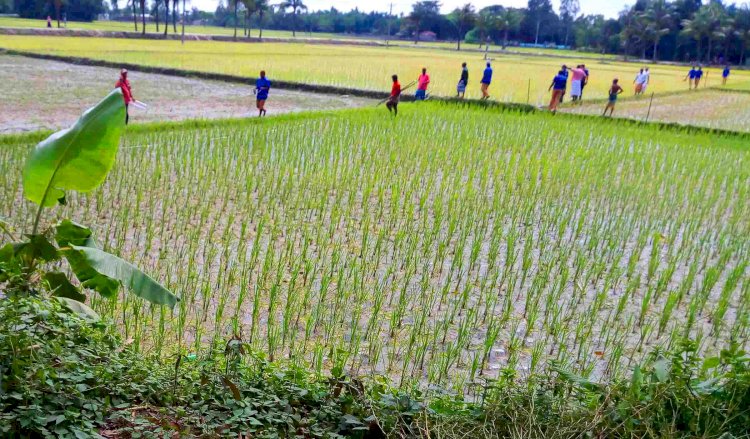 গঙ্গাচড়ায় বেদখল থাকা সড়ক উদ্ধার করল ইউপি চেয়ারম্যান