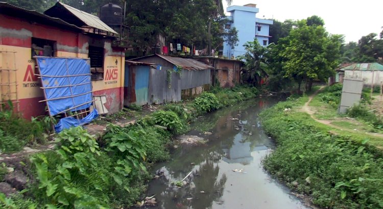 মশার উপদ্রবে অতিষ্ঠ রংপুরবাসী