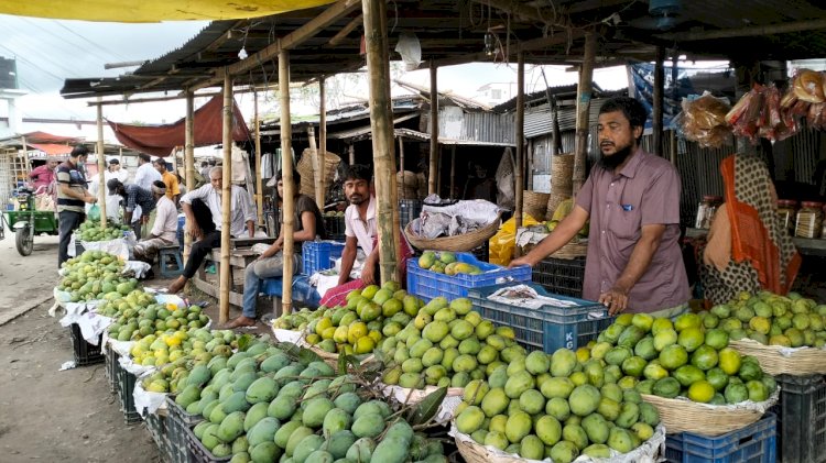 সংগ্রহের প্রথম দিনে রংপুরে  হাড়িভাঙ্গা আমে সয়লাব হাট-বাজার