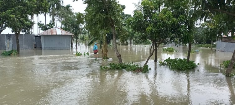 তিস্তার পানি কমছে, শঙ্কা ভাঙনের